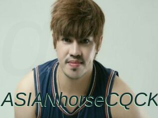 ASIANhorseCQCK