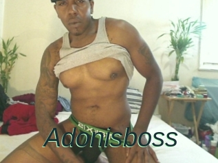 Adonisboss