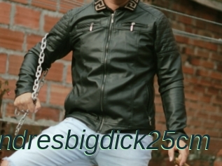 Andresbigdick25cm