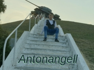 Antonangell