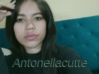 Antonellacutte