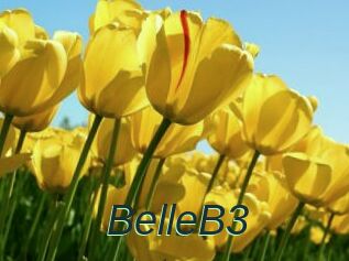 BelleB3