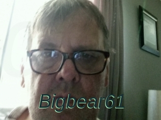 Bigbear61