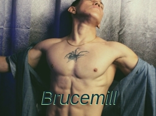 Brucemill