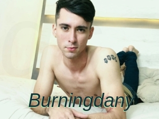 Burningdany