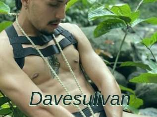 Davesulivan