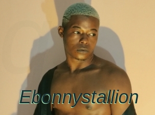 Ebonnystallion