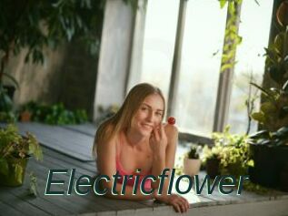 Electricflower