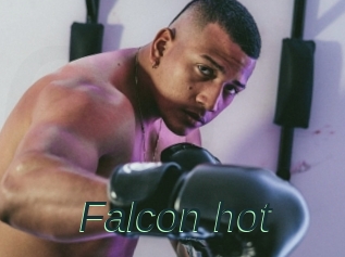 Falcon_hot