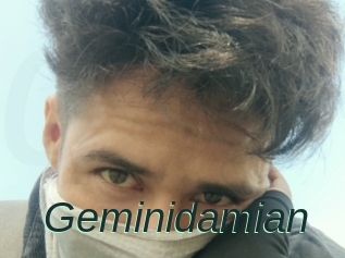 Geminidamian