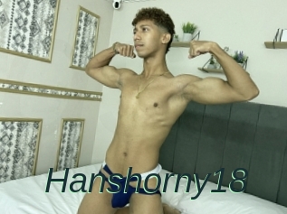 Hanshorny18