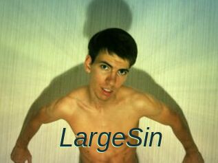 LargeSin