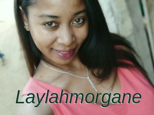 Laylahmorgane