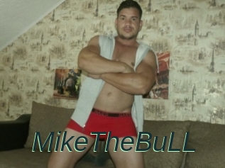 MikeTheBuLL