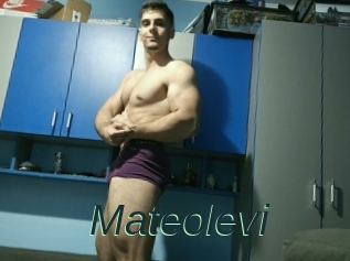 Mateolevi