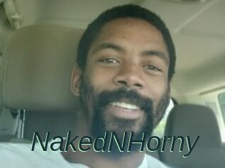 NakedNHorny Q Sex