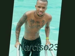 Narciso23