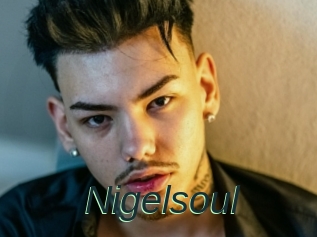 Nigelsoul
