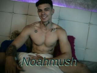Noahmush