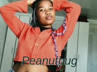 Peanutbug