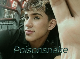 Poisonsnake