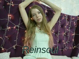 Reinsoul