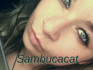 Sambucacat