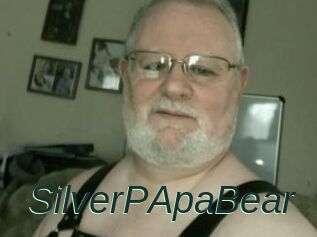 SilverPApaBear