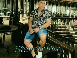 Stevebunny