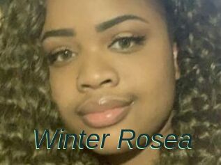 Winter_Rosea