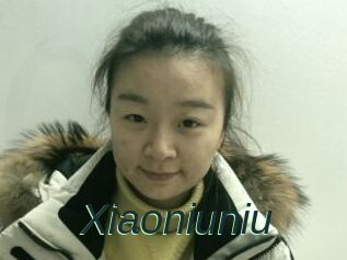 Xiaoniuniu
